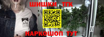 МДПВ Камышлов