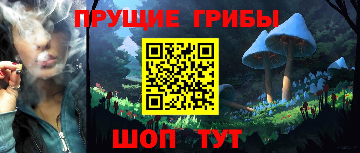 Красноярск  Галлюциногенные грибы мухоморы  Вход с VPN 