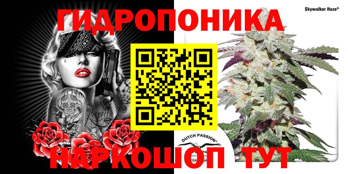 Красноярск  Каннабис Ganja  Вход с VPN  Бошки марихуана тримм  Бошки марихуана Bruce Banner  Бошки марихуана марихуана 